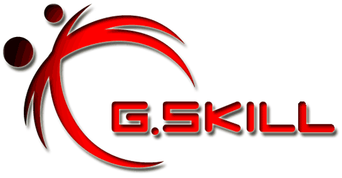 Logo G-Skill partenaire
