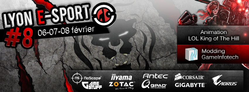 Affiche Lyon Esport